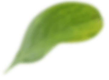 Logo Attelage de la Suize